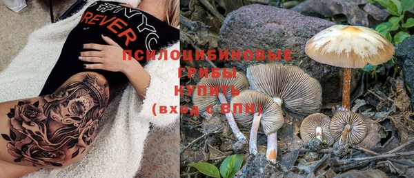 винт Балахна